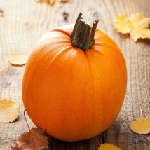 Pumpkin Pie Sugar Pumpkin Pumpkins Fall Baby Vegetable Fresh Seeds USA - £12.00 GBP