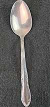 Oneida Plantation Stainless Custom Glossy Oval Soup Spoon Flatware - $6.92