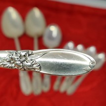 8X Serving Silverplate Demitasse Spoons Oneida Community White Orchid Fl... - $24.98