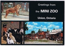Postcard Greetings From The Mini Zoo Union Ontario - £6.99 GBP