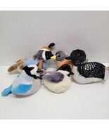 Lot of 5 Audubon Wild Republic Plush Stuffed Birds - Blue Jay, Chickadee... - $998.28 MXN