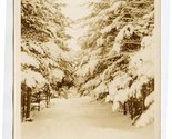 After a Snow Storm White Mountains New Hampshire Real Photo Postcard 1930&#39;s - $17.82