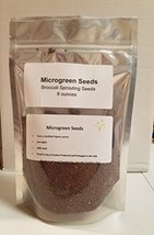 &quot;COOL BEANS n SPROUTS&quot; Brand Broccoli Seeds for Sprouting Microgreens, 8 oz Bag, - £5.97 GBP
