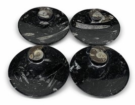 798g, 4pcs, 4.4&quot; Small Black Fossils Ammonite Orthoceras Bowl Round Ring,B8835 - £48.11 GBP