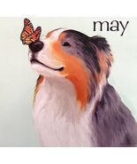 Australian Shepherd Butterfly May Dog Days Poster Calendar 14 x 11&quot; DWDDCal - $42.03 CAD