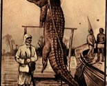 Crocodile Illustration Hunters Poaching Art Period  1910 DB Postcard - $5.89