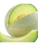Best 10 of Honeydew Green Melon Seeds (NON-GMO) Heirloom Fresh Garden - £3.03 GBP