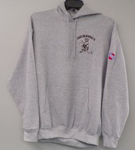 Hershey Bears AHL Hockey Embroidered Hooded Sweatshirt S-5XL, LT-4XLT New - $33.65+