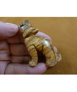 (Y-COY-ST-710) tan Jasper COYOTE wild dog gemstone carving stone FIGURIN... - €14,96 EUR