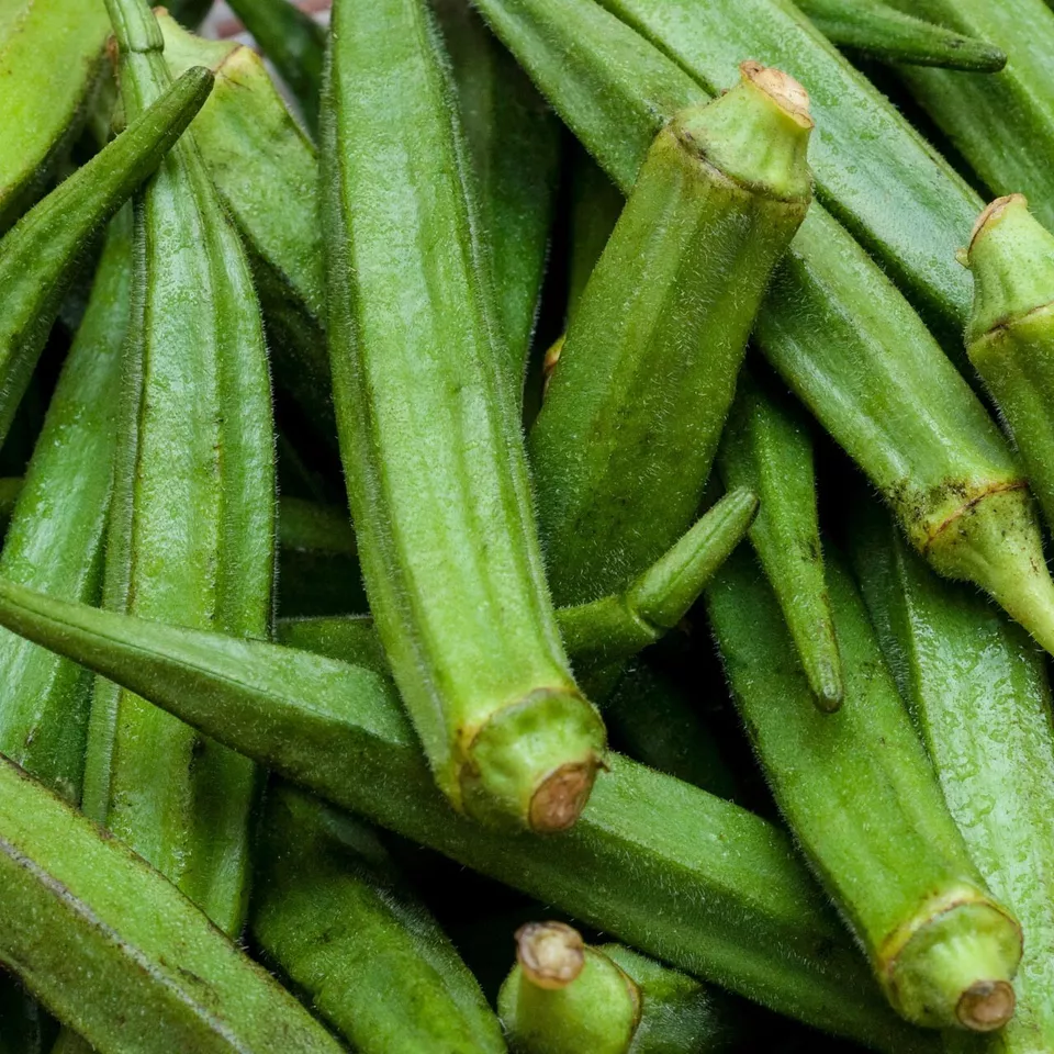 BPASTORE 30 Perkins Long Pod Okra Non-Gmo Spineless Large Okra Seeds Online - $9.39