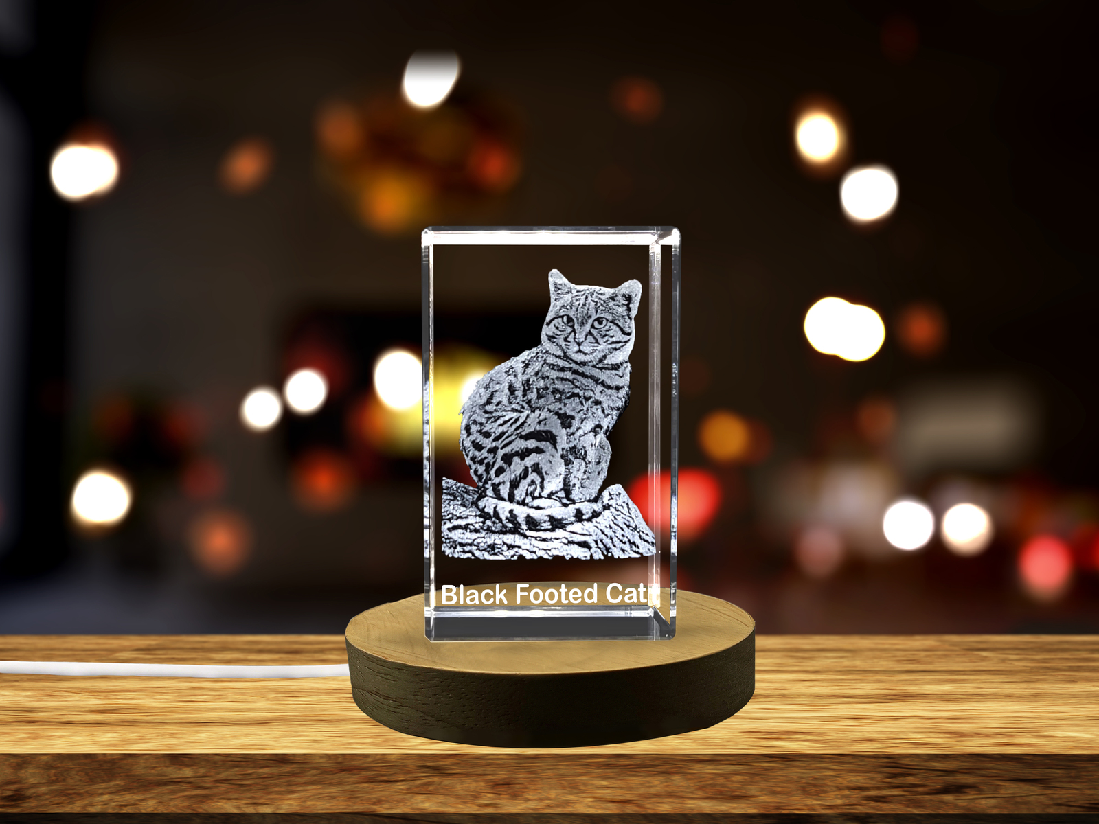 LED Base included | A Portrait of Nature's Miniature Hunter - Black-footed Cat