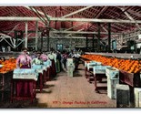 Orange Packing Warehouse in California CA UNP Unused DB Postcard W3 - £3.12 GBP