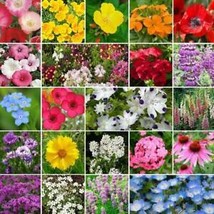 From Usa Wildflower Mix Partial Shade 22 Heirloom Flower Species Usa Non-GMO 500 - £3.18 GBP