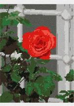 Pepita Needlepoint Canvas: Open Rose by The Window, 7&quot; x 10&quot; - £39.62 GBP+