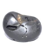 Kurma Shaligram - Gandaki River Nepal - $476.09
