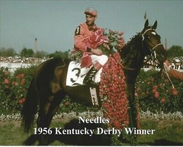 1956 - NEEDLES in the Kentucky Derby Winners Circle - Color - 10&quot; x 8&quot; - £15.73 GBP
