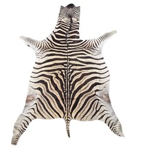 Real Zebra Skin Rug Hide #47 HUGE Size:  9 X 7 feet Genuine Burchells Ze... - $1,350.08 CAD