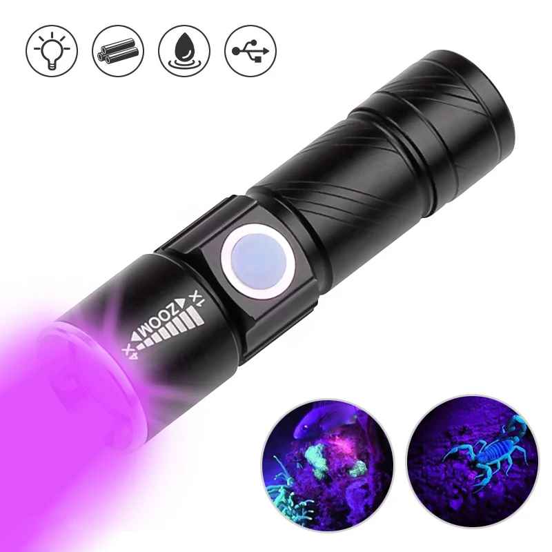Portable UV Light Flashlight USB Rechargeable Blacklight Mini LED flashlight - £10.78 GBP