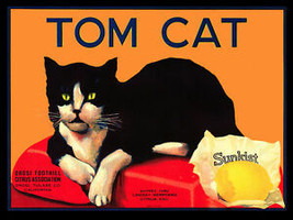 Vintage Quality POSTER.Tom CAT.Pet Decor.Lovely art.House Interior design.302 - £14.02 GBP+