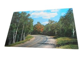 Vintage Postcard unposted Cedar Run Pennsylvania Road Birch Tree nature ... - $5.20