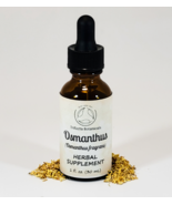 OSMANTHUS Herbal Supplement / Liquid Extract Tincture / Olea Osmanthus f... - £14.84 GBP
