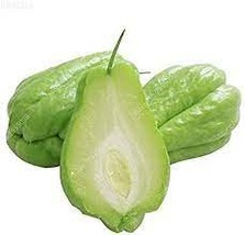 60 Seeds Bonsai Chayote Seeds Outdoor Planting - £9.06 GBP