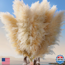 Pasuvsigt 40" 36 Stems Natural Pampas Grass Decor Tall Boho Home Decor - $68.77