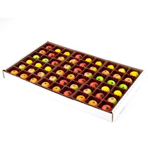 NEW 54 Piece Assorted Fruit Box Tray Net Weight 25 Oz - £26.39 GBP