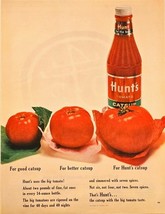Hunt&#39;s Tomato Catsup 14 ounce bottle red garden-1964 Vintage Print Ad - $148.95 MXN