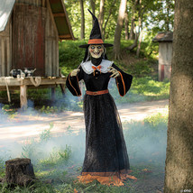 7  Animated Whimsical Witch - $524.12 CAD
