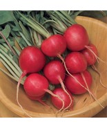 Cherry Belle Radish Seeds 100 - 500 - 1000 - 5000 Seeds  Microgreens 25 ... - $39.81 MXN+