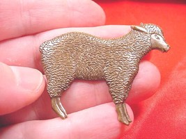   (B-LAMB-1) cute fluffy little baby Lamb sheep ewe brass pin brooch far... - £12.47 GBP