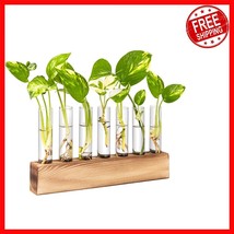 Stylish 7  Tube Propagation Station with Wooden Stand for Indoor Gardening - $27.15