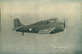WILDCAT vintage WWII-era U.S. Army/Navy plane 5" x 8" photo card - $14.84