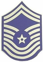 AIR FORCE USAF E-9 COMMAND MASTER  SERGEANT  RANK   PIN - $12.34