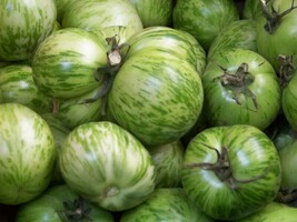 BRN Tomato Green Zebra Heirloom 50 Seeds Groco Fresh Garden - $8.97