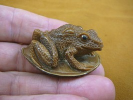 tb-frog-16) Frog Toad Tagua NUT palm figurine Bali detailed carving I lo... - £36.34 GBP