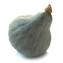 USA Seller Baby Green Hubbard Winter Squash Garden Seeds Winter Squash Open Poll - $15.76