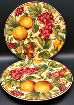 Waverly Garden Room Salad Plates 8-1/4&quot; Fruit Pattern (2) Stoneware - £19.12 GBP