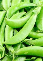 Pea Seed, Sugar Snap Pea, Heirloom, Non GMO, 200 Seeds, Perfect Peas, Country Cr - $5.99