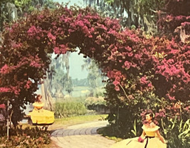 Florida Cypress Gardens Arbor of Purple Bougainvillea Postcard Used 1960s - $3.95