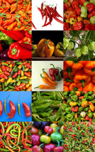 BPASTORE 50 Seeds Store Peppers Mix Edible Fruits Exotic Vegetables Mixed Sweet  - £12.49 GBP