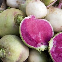 New Watermelon Radish Seed Winter Radishes Root Vegetable Seeds Fresh USA Garden - $14.38