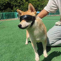 Stylish Canine UV Sunglasses - $19.95