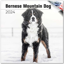 Bernese Mountain Dog Wall Calendar 2024 Animal PET Lover Gift - $24.74