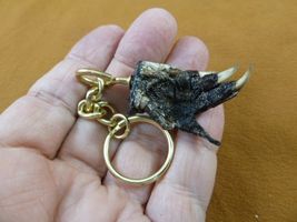 (G120-30) KEYCHAIN GATOR Aligator ALLIGATOR Claw foot key I love gators ... - $9.99