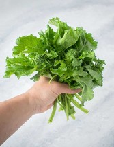 1000+ Organic Broccoli  Raab Rapini  Seeds Microgreens Sprouting Garden for 2024 - £1.47 GBP+