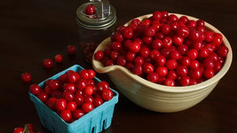 10 Montmorency Cherry Seeds Planting USA Gardening - $7.96