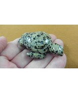 (Y-TUR-SE-721) black white SEA TURTLE gemstone figurine carving love tur... - $34.28 CAD