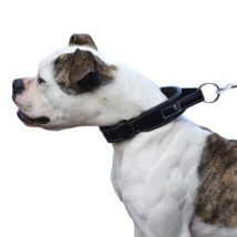 STG Collare per cani in pelle nera con manico e anello aggiuntivo per guinzaglio - £29.40 GBP+